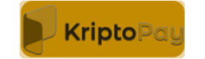 KriptoPaySystem